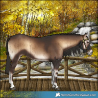 Horse Color:Liver Red Onyx Brindle