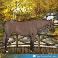 Horse Color:Liver Red Dun Mushroom Brindle 