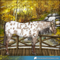 Horse Color:White Spotted Liver Red Dun Blanket Brindle 