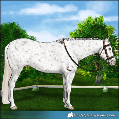 Horse Color:Chocolate Palomino Snowflake Varnish 