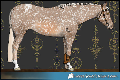 Horse Color:Chocolate Palomino Snowflake Varnish