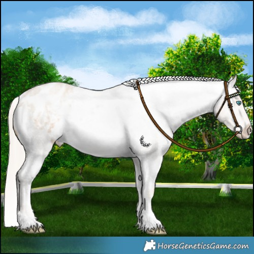 Horse Color:Chocolate Palomino Roan Pearl Blanket 