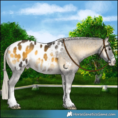 Horse Color:Silver Buckskin Onyx Blanket Brindle 