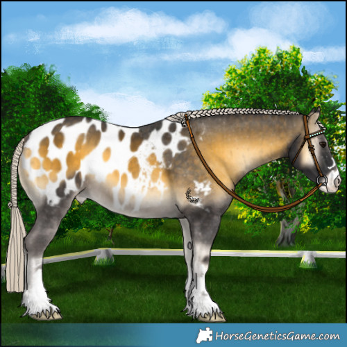Horse Color:Silver Buckskin Onyx Appaloosa Brindle 
