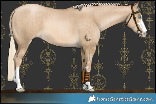 Horse Color:Chocolate Palomino Pearl Dun Brindle