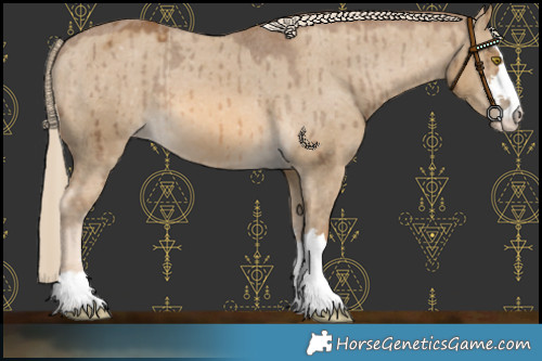 Horse Color:Chocolate Palomino Dun Appaloosa Brindle