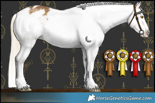 Horse Color:Chocolate Palomino Dun Varnish Brindle 