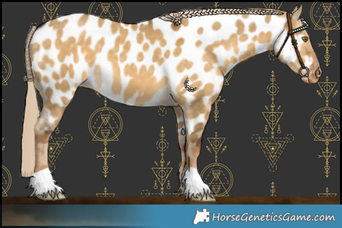 Horse Color:Chocolate Palomino Dun Near Leopard 