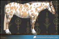 Horse Color:Chocolate Palomino Dun Near Leopard