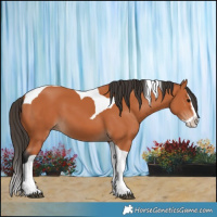 Horse Color:Bay Splash Tobiano 