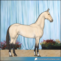 Horse Color:Buckskin Roan 