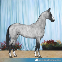 Horse Color:Blue Roan 