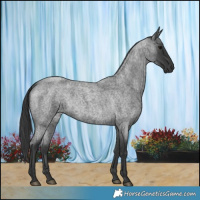 Horse Color:Blue Roan 