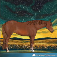 Horse Color:Chestnut  and Chestnut 