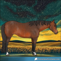 Horse Color:Bay Rabicano and Bay Rabicano