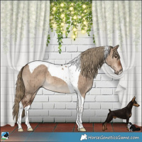 Horse Color:Liver Red Dun Tobiano Brindle 