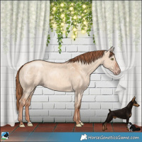 Horse Color:Gold Champagne Dun Brindle 