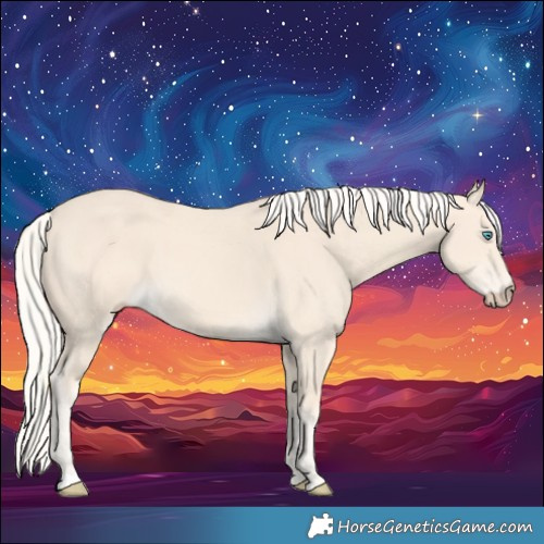 Horse Color:Cremello