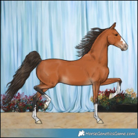Horse Color:Bay 