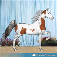 Horse Color:Bay Splash Tobiano