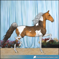 Horse Color:Buckskin Tobiano 