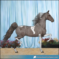 Horse Color:Liver Chestnut Tobiano Appaloosa 