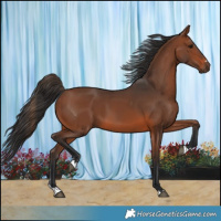 Horse Color:Brown 