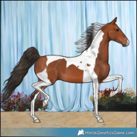 Horse Color:Bay Tobiano 