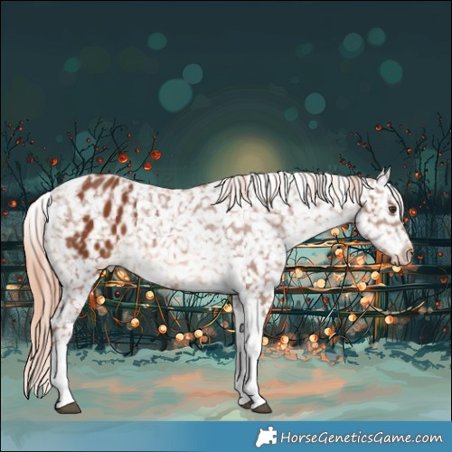 Horse Color:Chestnut Tobiano Blanket 