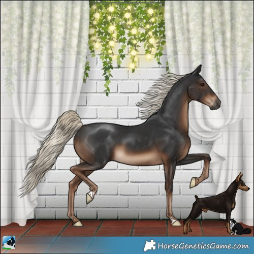 Horse Color:Gray Liver Chestnut Mushroom 