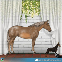 Horse Color:Chocolate Palomino Rabicano 