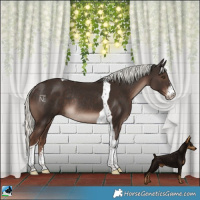 Horse Color:Liver Chestnut Mushroom Sabino Tobiano Rabicano 