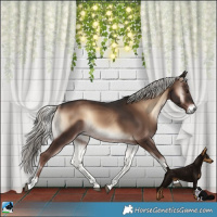 Horse Color:Liver Red Onyx Mushroom Rabicano 