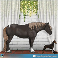 Horse Color:Liver Chestnut Tobiano Rabicano 