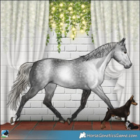 Horse Color:Gray Liver Chestnut Mushroom