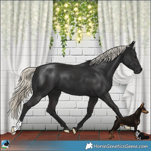 Horse Color:Gray Liver Chestnut Mushroom