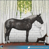 Horse Color:Liver Chestnut Mushroom Rabicano
