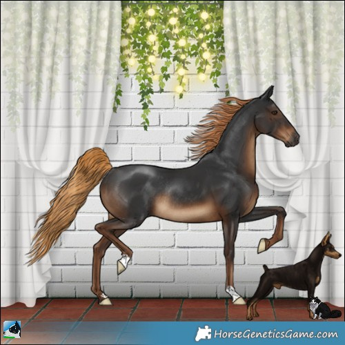 Horse Color:Gray Liver Chestnut Rabicano