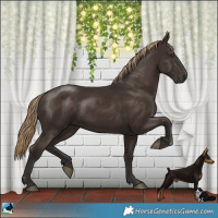 Horse Color:Liver Chestnut Rabicano