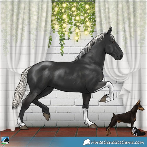 Horse Color:Liver Chestnut Mushroom Tobiano