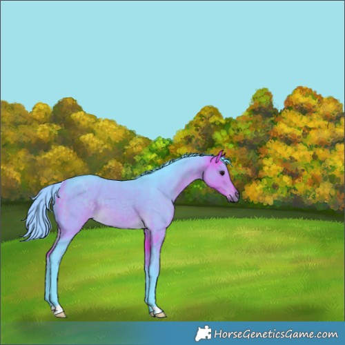 Horse Color:Watercolor Buckskin 