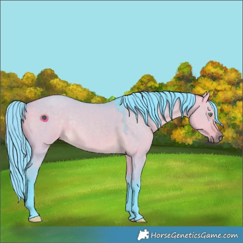 Horse Color:Watercolor Buckskin Dun Rabicano 