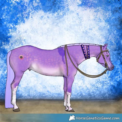 Horse Color:Watercolor Chocolate Palomino Dun Tobiano Rabicano 