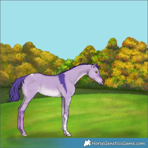 Horse Color:Watercolor Liver Red Dun Tobiano Rabicano 