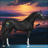Horse Color:Gray Black 