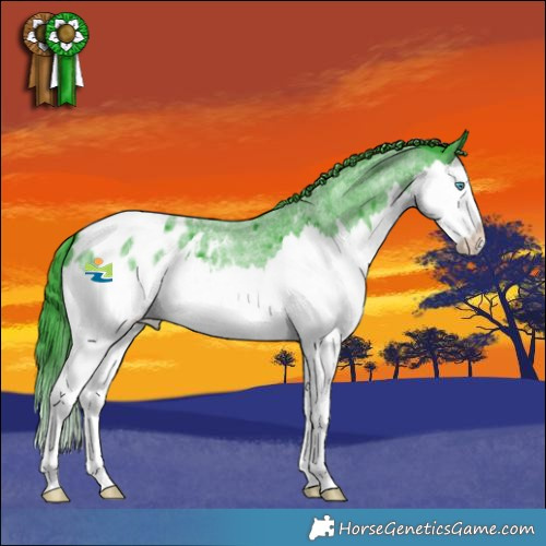 Horse Color:Watercolor Blue Roan Splash Appaloosa 