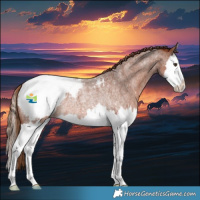 Horse Color:Red Roan Splash Appaloosa Rabicano 