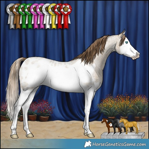 Horse Color:Classic Cream Champagne Roan Splash Frame Near Leopard 