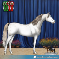Horse Color:Classic Cream Champagne Roan Splash Frame Near Leopard