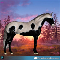 Horse Color:Classic Champagne Splash 